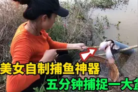 美女自制捕鱼神器，一根水管捕鱼，鱼儿自动上钩，一抓一大盆鱼视频封面