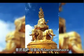 普贤菩萨的简介视频封面