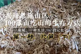 揭秘恩施山区100种靠山吃山的生存方式1：挖笋（下）视频封面
