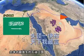 头顶一块布，天下我最富，为什么沙特阿拉伯如此富裕视频封面