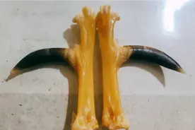 鸡爪骨也有人盘玩，你们知道吗？我是第一次听说并盘玩，会怎样呢