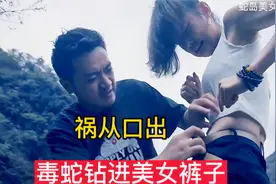 毒蛇钻进美女裤子，美女嘲笑救命恩人，结果下一秒悲剧发生了视频封面