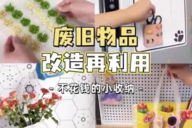 废旧物品改造再利用，不花钱的家居小收纳来啦，生活小妙！视频封面