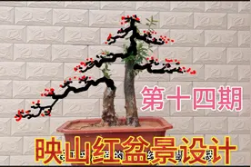 玩盆景画图设计很重要，不会的朋友跟着老陈一起学设计造型视频封面