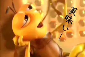看看小蜜蜂是怎么筑巢的视频封面