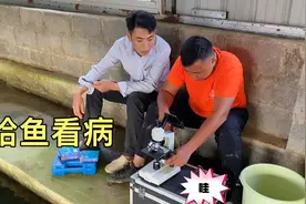 原来给鱼看病是这样的，阿欢的技术员实在太厉害了，把鱼给解剖了视频封面