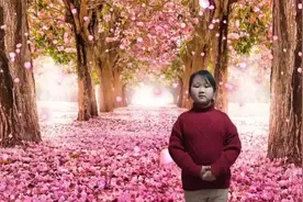 五岁吟花，背诵视频封面