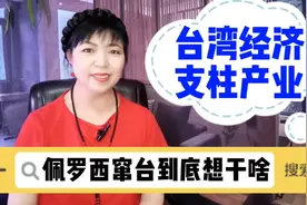 这两个国家都看好台湾哪些重要支柱产业？经济反制策略他们会怎样视频封面