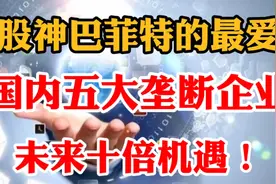 未来机遇翻倍的国内五大垄断企业！视频封面