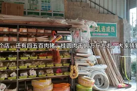 隐藏在农村里的大富豪视频封面