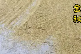 提倡劳动实践，有利于成长视频封面