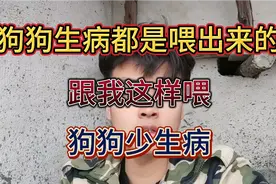 狗狗生病都是喂出来的。学我这个方法 狗狗少生病.视频封面