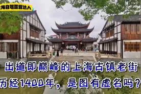 上海80后自驾日记，探访上海新晋网红古镇2天1夜古镇+露营怎么玩视频封面