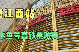 湛江西站水鱼号高铁票“贼贵”去广州要249元
