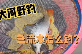 大河走水严重怎样钓鱼？一招帮你解决，钓出欢乐塘的感觉！