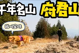 自驾游天津蓟县，免票的千年名山府君山，跟狗狗走小路风景太美了视频封面