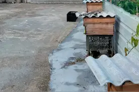 核心功效

蜂密功效:改善便秘,杀菌,保护肝脏视频封面