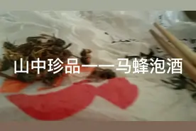 马蜂酒一一极品风湿圣药视频封面