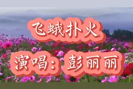 《飞蛾扑火》曾经风风雨雨一起走过，如今孤孤伶伶眼泪滂沱。视频封面