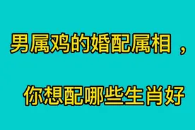 男属鸡的婚配属相，你想配哪些生肖好视频封面
