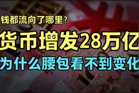 央行印了28万亿，为什么普通人钱包没有感觉，钱都进了谁的口袋？视频封面
