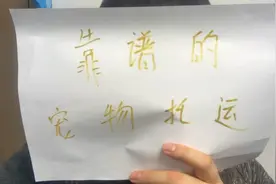 问什么问题能让宠物托运直接无语？让我来告诉你托运根据什么收费视频封面