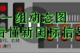 一组动态图教您看懂新国标信号灯视频封面
