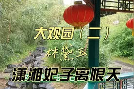 冷美人宝钗和凉美人黛玉，都是国色天香，却为何命运多舛？视频封面