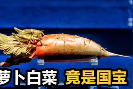老胡在红薯地里挖出玉雕的萝卜和白菜，竟成了国宝，800元上交了视频封面