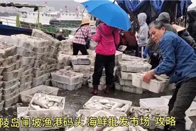 广东省阳江海陵岛闸坡渔港码头海鲜批发市场，游客买海鲜攻略视频封面