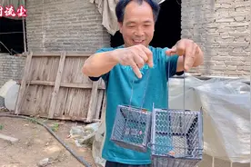 大叔家猪场老鼠猖狂，添两个新的捉鼠神器，看大叔用什么做诱饵？