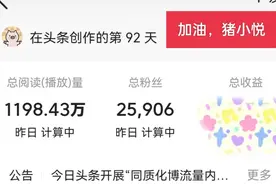 加油，猪小悦断更后又回来了!励志的故事视频封面