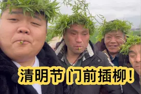 清明西凉带着去找柳树枝条回来插在门前！编帽子做小哨儿时的回忆视频封面