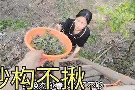 农村美食构不揪这样做才好吃，焦香可口美味的很，错过了要等来年视频封面