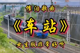 孙露一曲《车站》太感人，伤感凄美的歌声，听哭了多少人视频封面