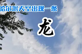 哈尔滨天空出现一条“龙”惟妙惟肖太震撼了！视频封面