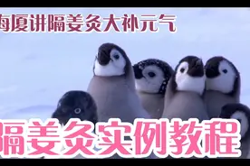 倪海厦：隔姜灸可以大补元气，灸疗的好处及教程，艾壮如何操作。视频封面