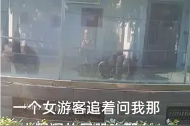 大猩猩的屁股这么大你如何回答呢？视频封面