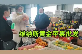 山东荣成盛产维纳斯黄金苹果，看看从产地批发价格，发货运费咋样视频封面