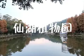 深圳仙湖植物园攻略，大家关注收藏好来视频封面
