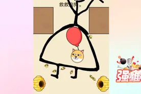 狗哥竟然躲在女孩子的裙子里！视频封面