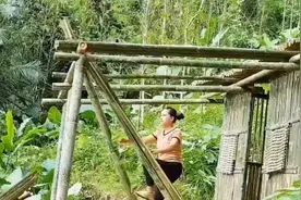 链了解荒野，学习更多荒野技能愿和您一起探讨荒野视频封面