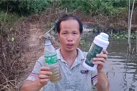 农村9哥高密度养鱼，水脏也能养，放点这个让水快清晰视频封面