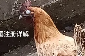 星图注册详解视频封面