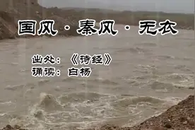 阚立文原唱《无衣》，白杨诵读《秦风•无衣》，为河南亲人加油！视频封面