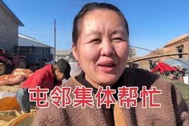 种菇娘果有多费事？苗长多了还要拔掉，一宁家干活屯邻集体帮忙