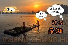 武汉南湖如今有多美？历经14年，昔日臭水湖变成绝美的城市公园视频封面