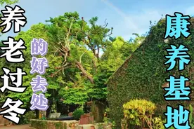 零成本到期返还本金的康养基地，实现全岛换住，分田分地，真牛逼视频封面