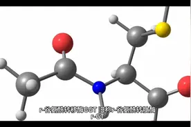 检验结果解读：血清r-谷氨酰转移酶视频封面