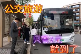 成都公交旅游，乘公交到简阳贾家镇，万亩樱桃采摘，票价只需3元视频封面